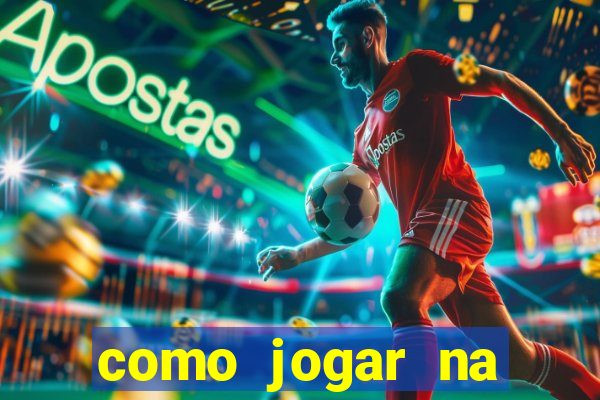 como jogar na lotinha do jogo do bicho